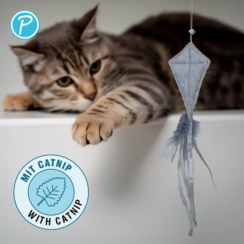 Petlando Katzenangel Drache_2