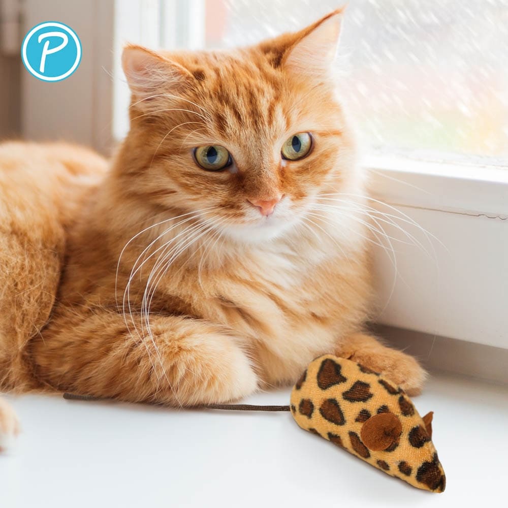 Petlando Katzenspielzeug Leo Mäuse_2