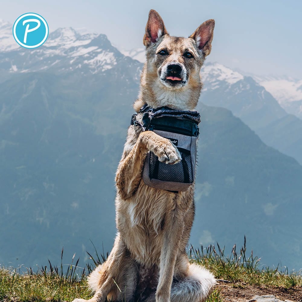 Petlando Everest Snackbag Premium grau_4