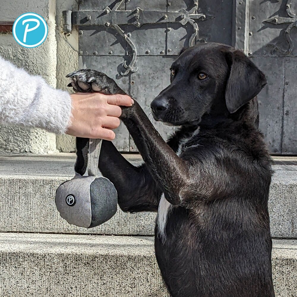 Petlando Everest Wurfball grau_2