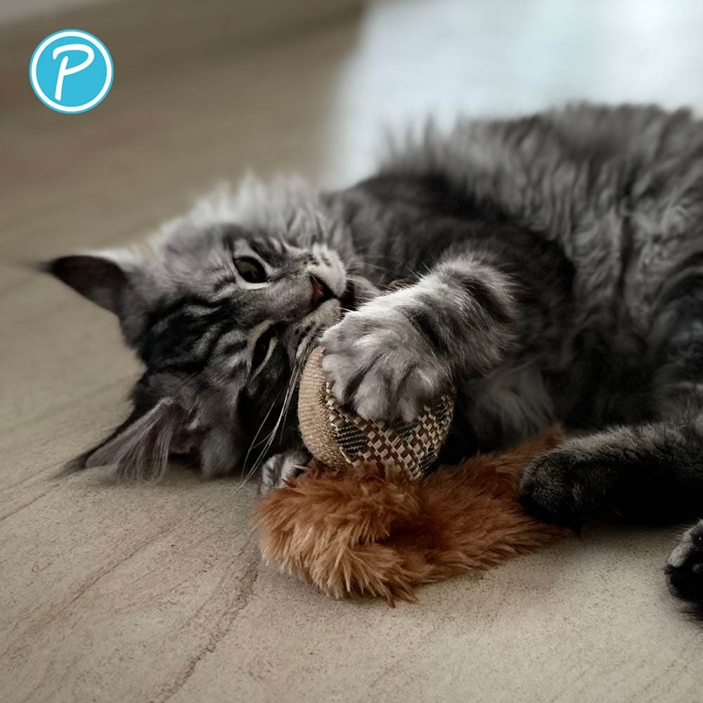 Petlando Katzenspielzeug Raschelmaus_2