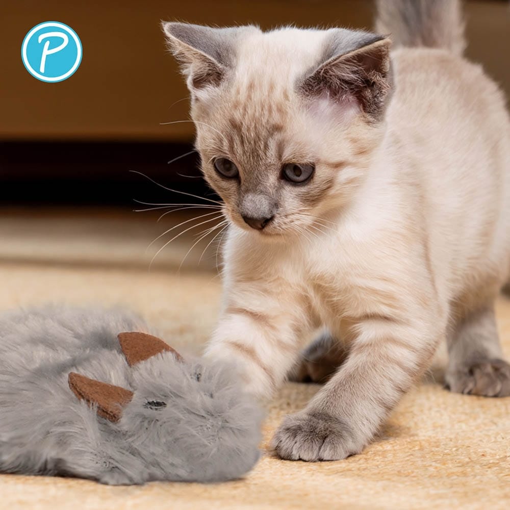 Petlando Katzenspielzeug Plüschmaus_2