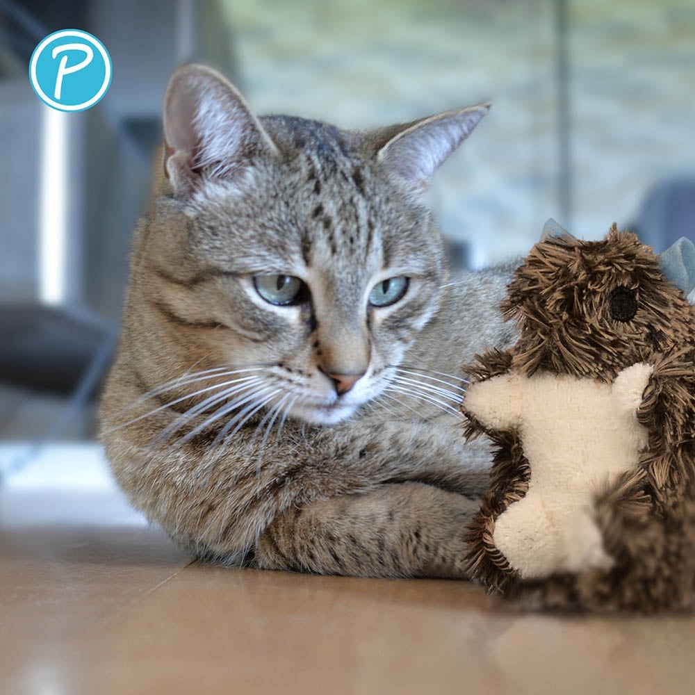 Petlando Katzenspielzeug Ratte_2