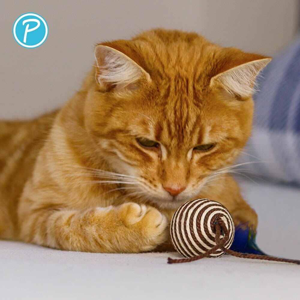 Petlando Katzenspielzeug Sisalbälle_2