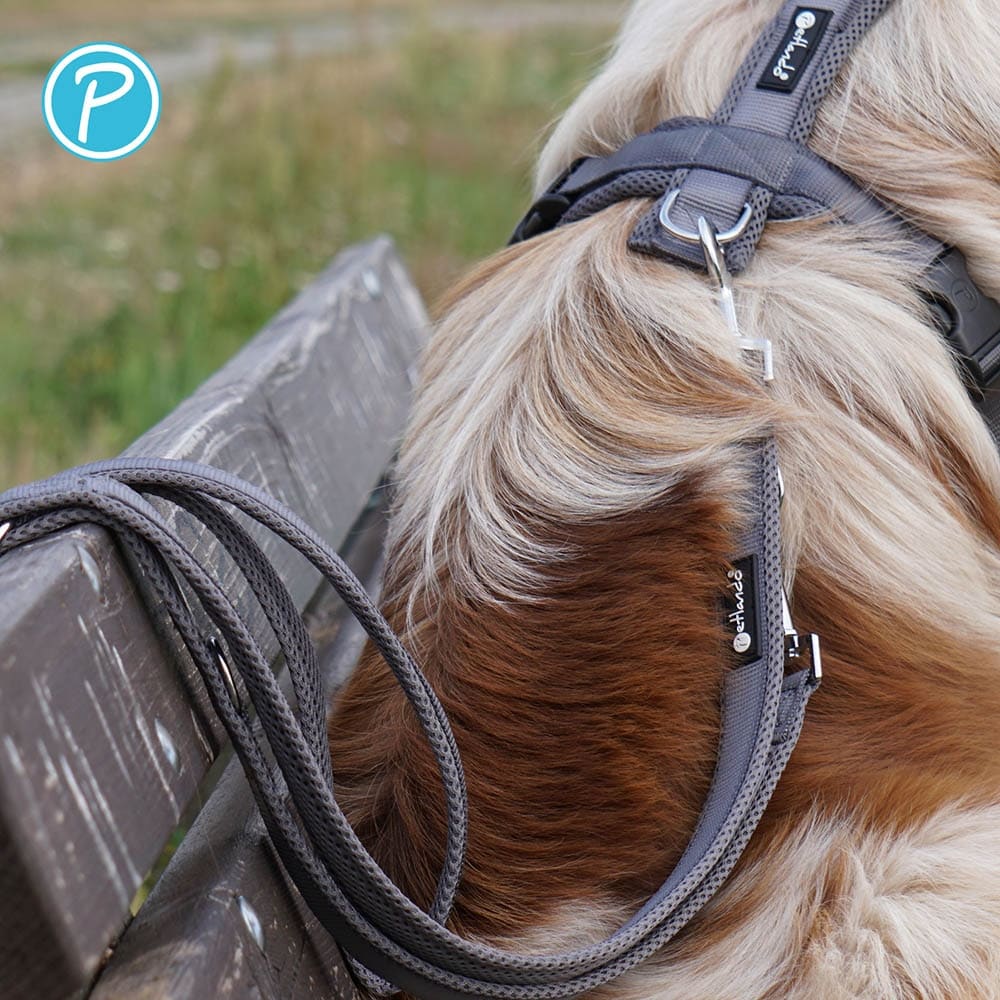 Petlando Mesh verstellbare Führleine anthrazit _3