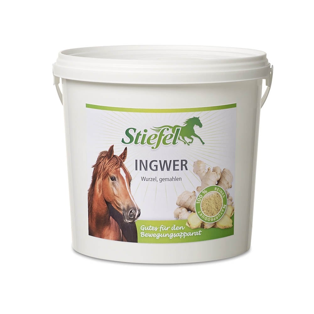 Stiefel Ingwer gemahlen_0