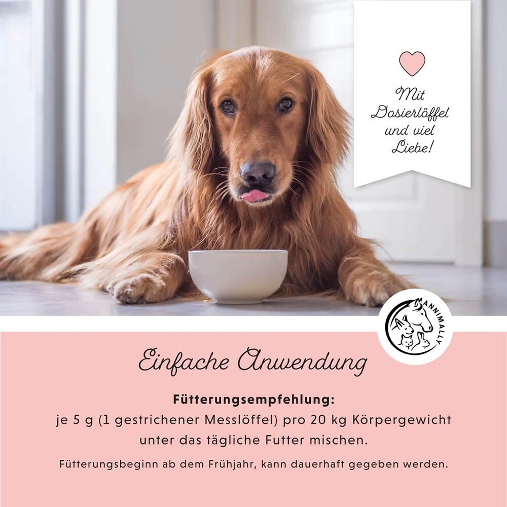 Annimally Zec McWeg_3