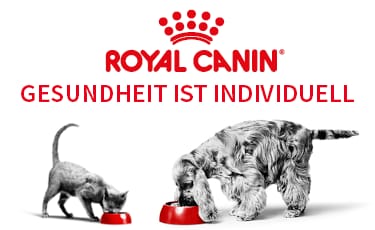 Royal Canin Vital Support Royal Canin Vital Support