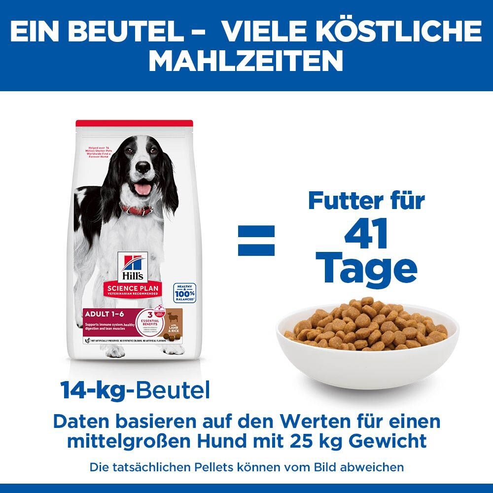 Hills Science Plan Adult Medium Lamm mit Reis Trockenfutter für Hunde_6