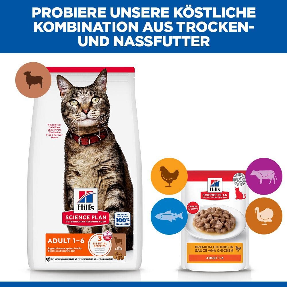 Hills Science Plan Adult Lamm und Reis Trockenfutter für Katzen_5