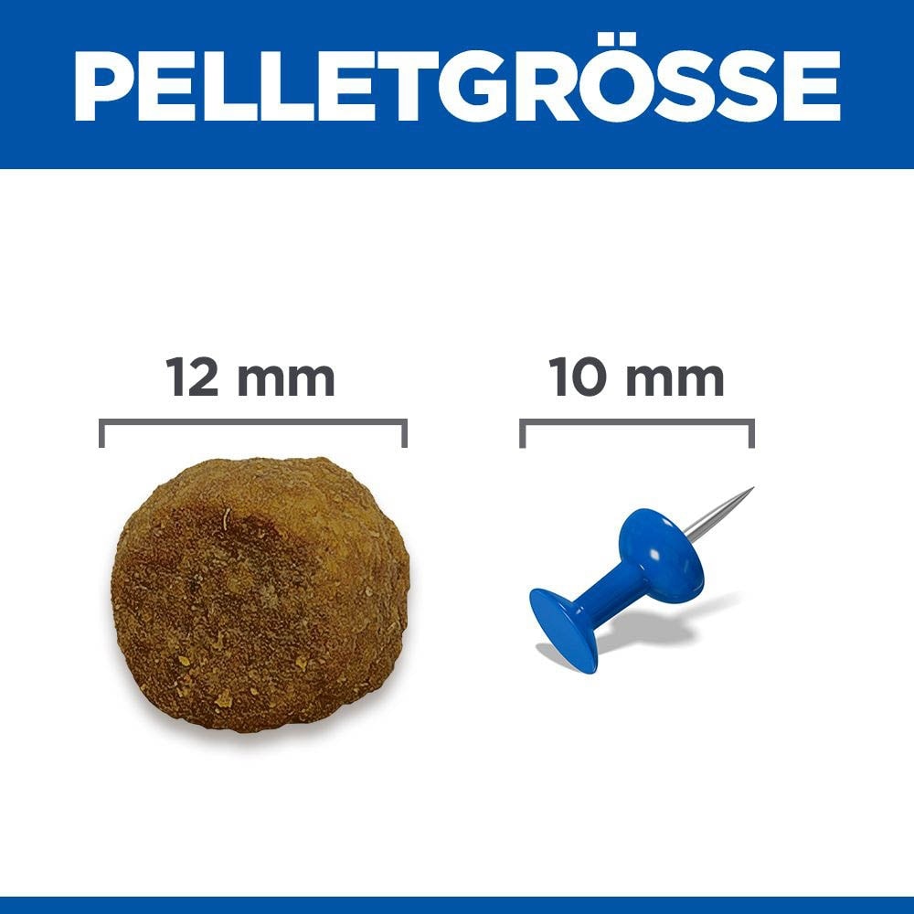 Hills Science Plan Mature Adult 7+ Medium mit Lamm und Reis Hund_4