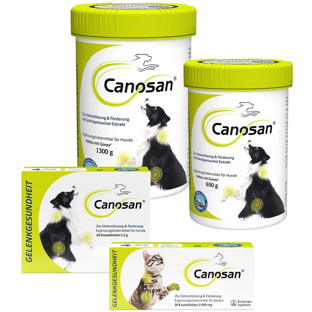 Boehringer Ingelheim Canosan Kautabletten Hund_4