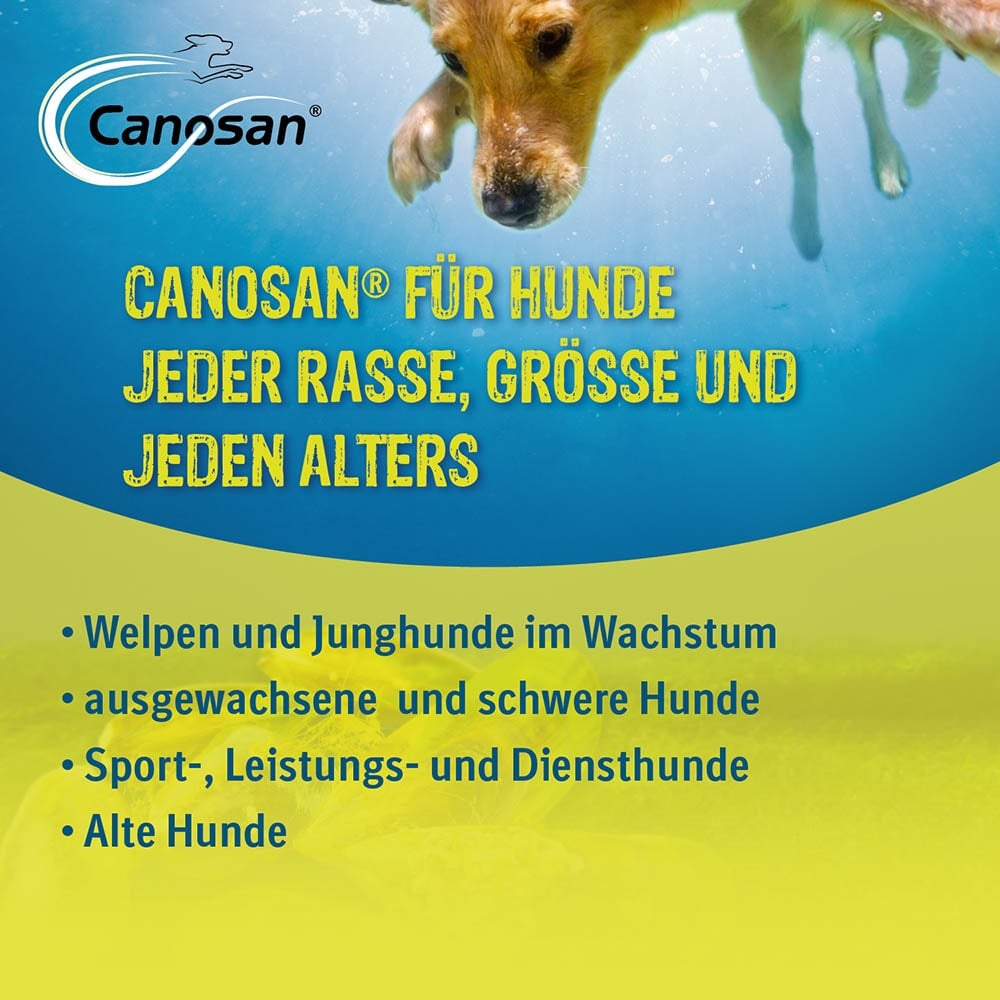 Boehringer Ingelheim Canosan Kautabletten Hund_1