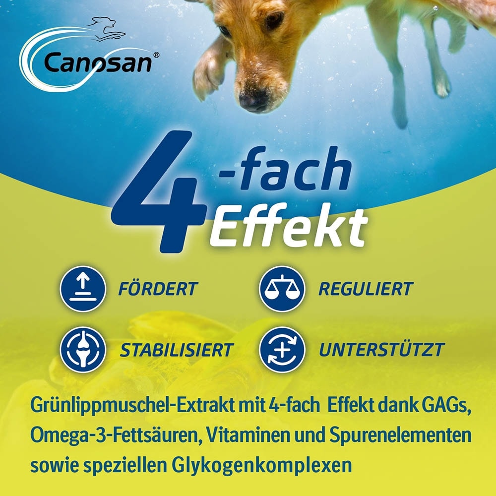 Boehringer Ingelheim Canosan Kautabletten Hund_3