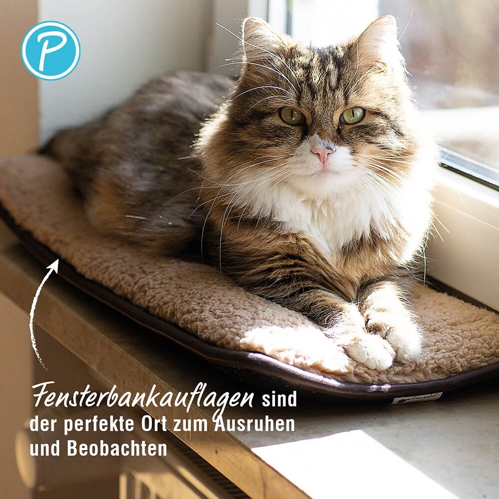 Petlando Windowchiller_6