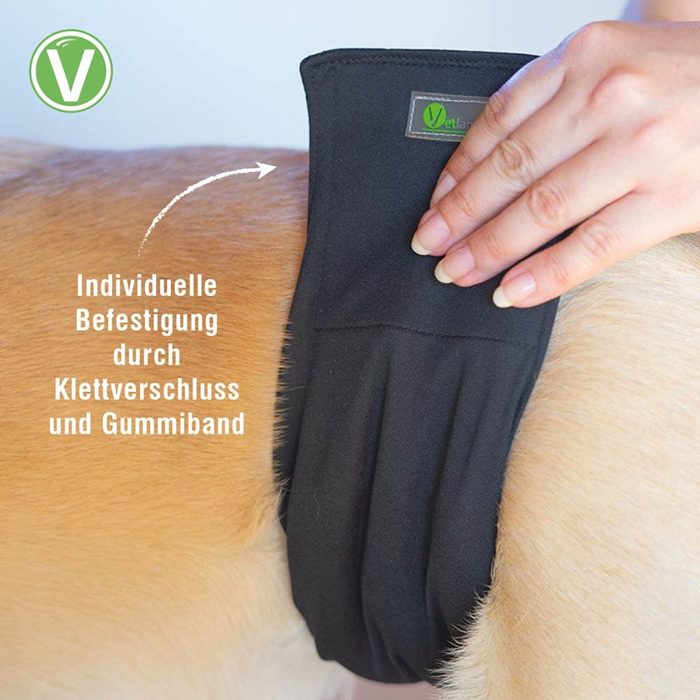 Vetlando waschbare Rüdenwindel _3