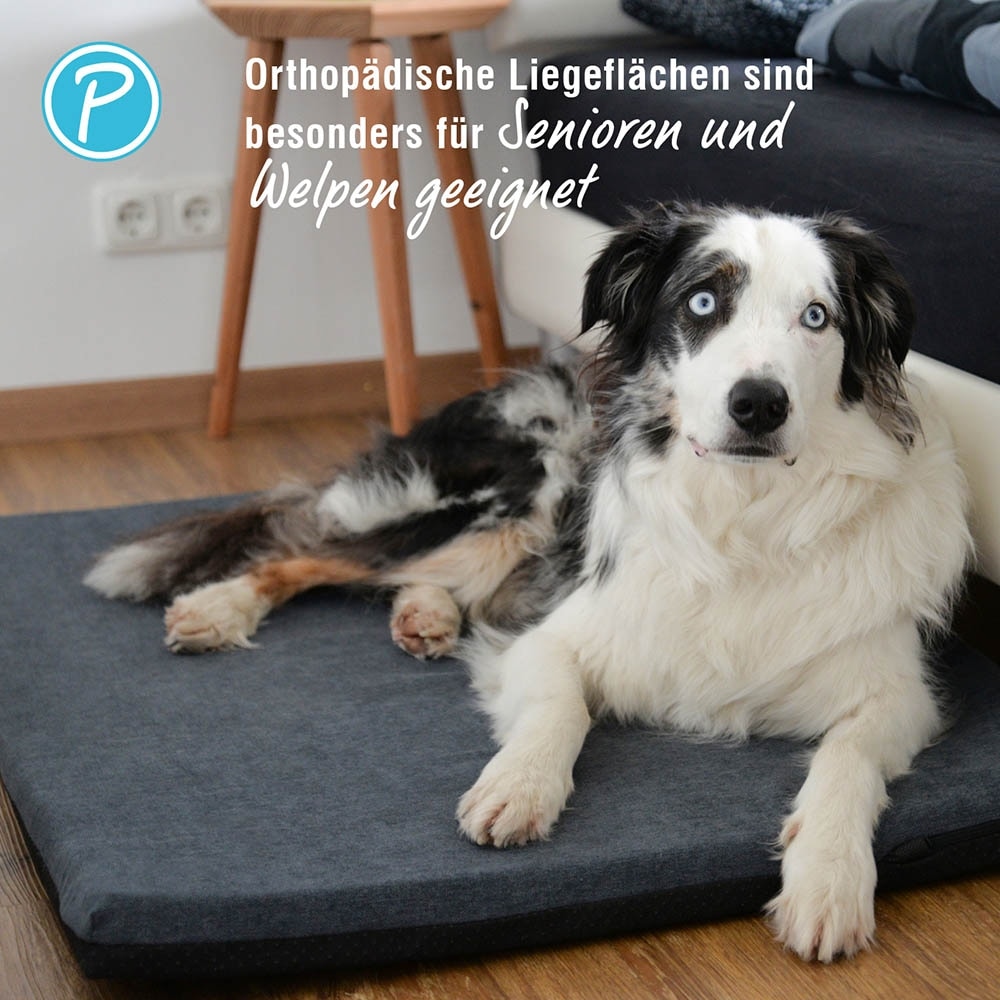 Petlando Turino Ortho anthrazit_3