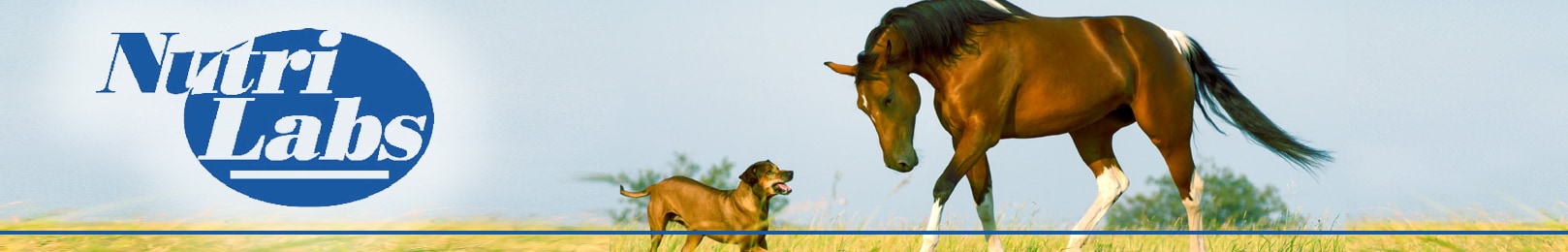 NutriLabs