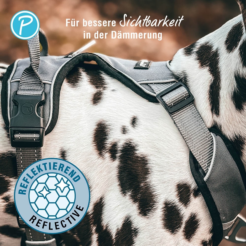 Petlando Outdoor Geschirr petrol_4