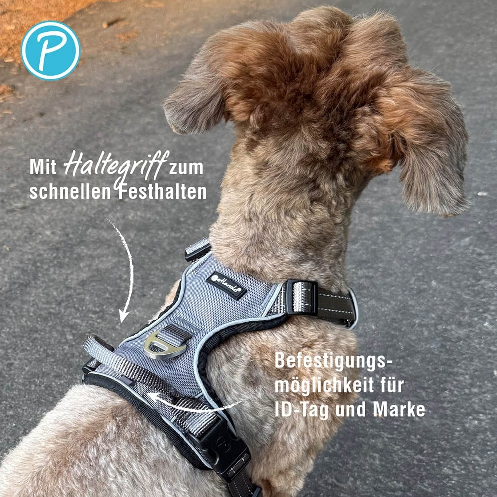 Petlando Outdoor Geschirr petrol_5