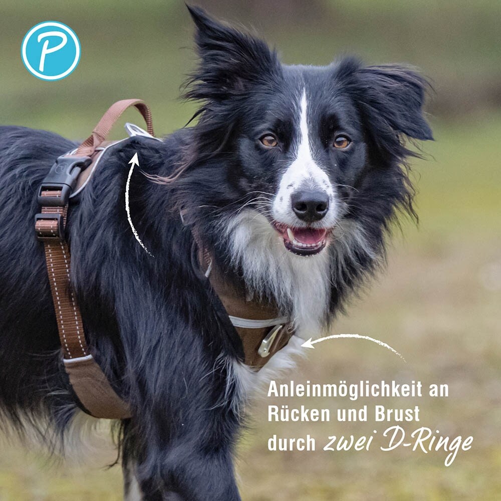 Petlando Outdoor Geschirr mokka_3