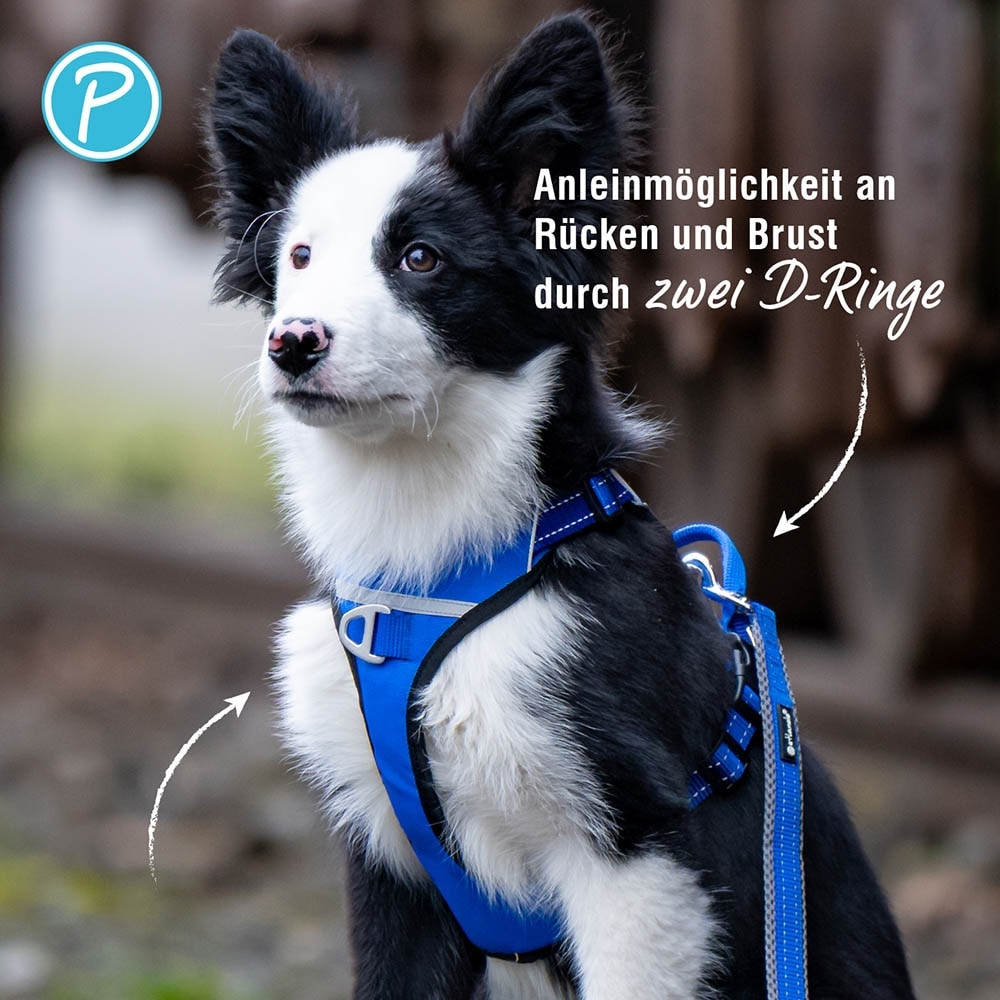 Petlando Outdoor Geschirr navy_3