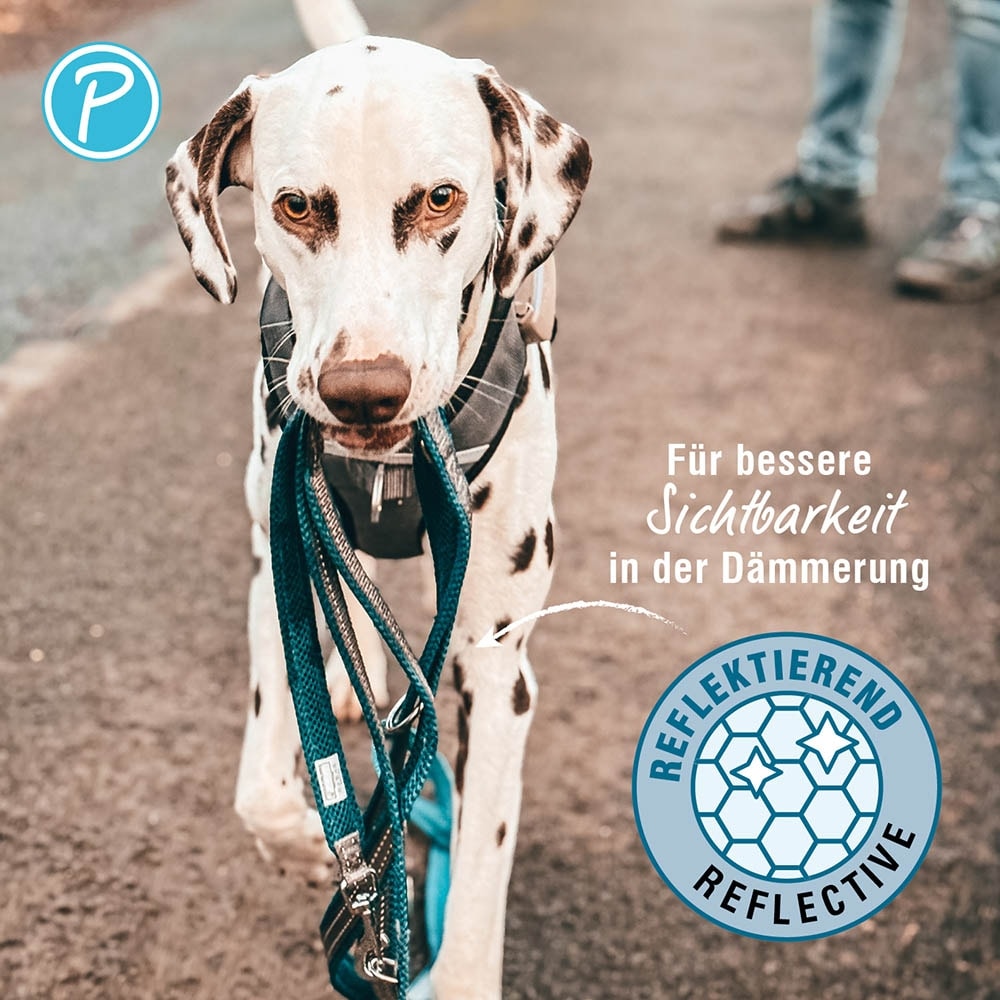 Petlando Outdoor Führleine petrol_2