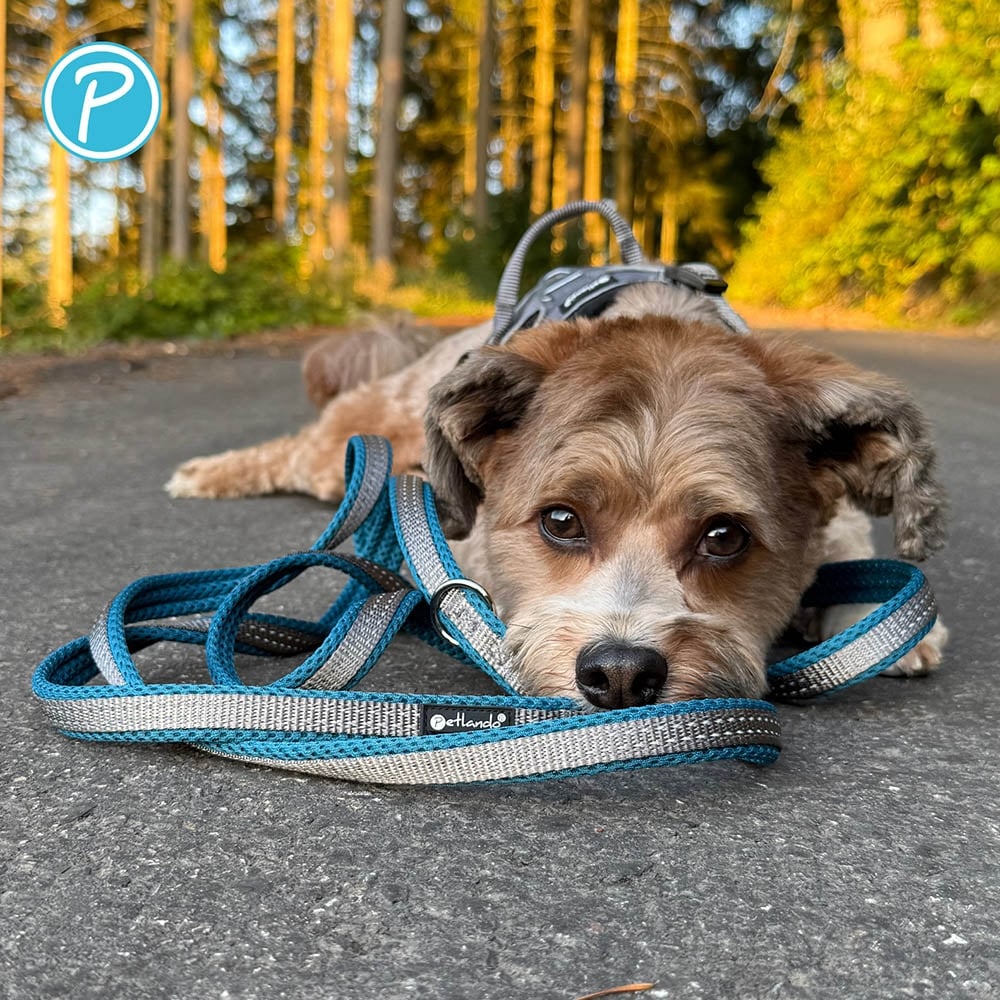 Petlando Outdoor Führleine petrol_3