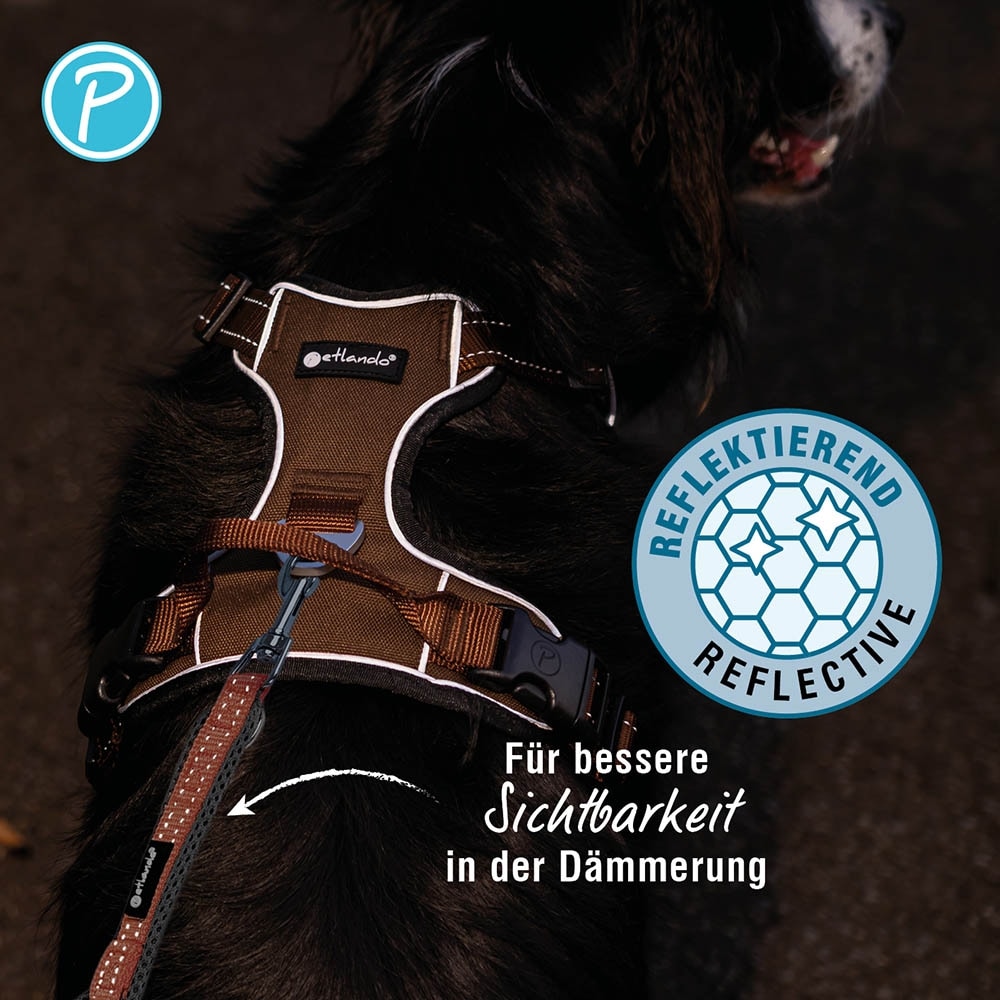 Petlando Outdoor Führleine mokka_2