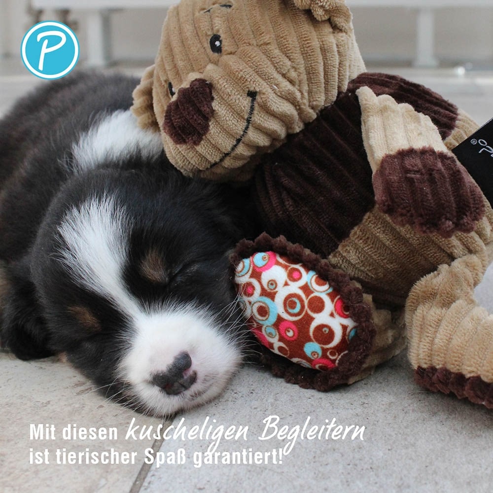 Petlando Moodles Kuscheltier Bär Rudi_3