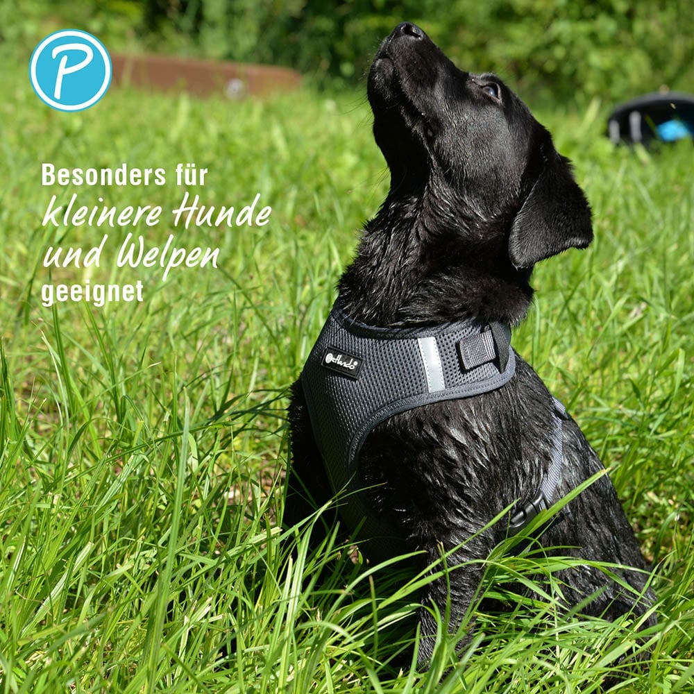 Petlando Mesh Vest Geschirr schwarz_3