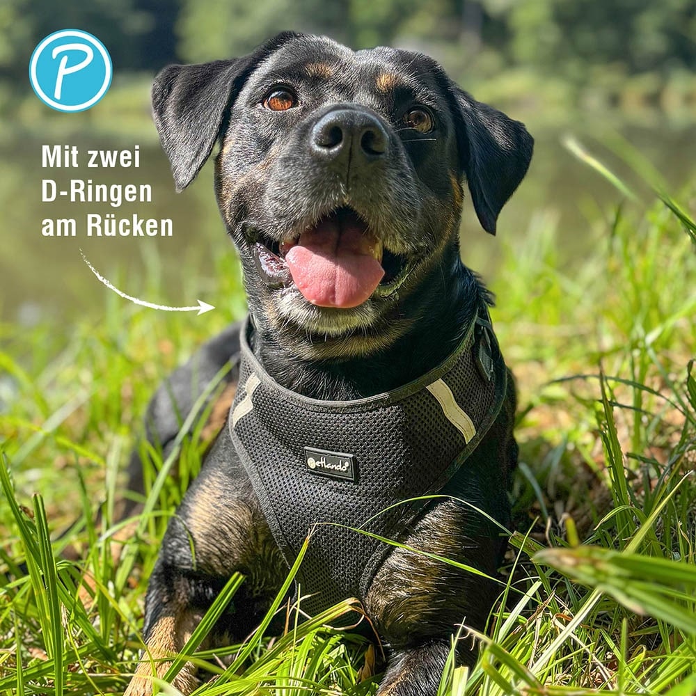 Petlando Mesh Vest Geschirr schwarz_4