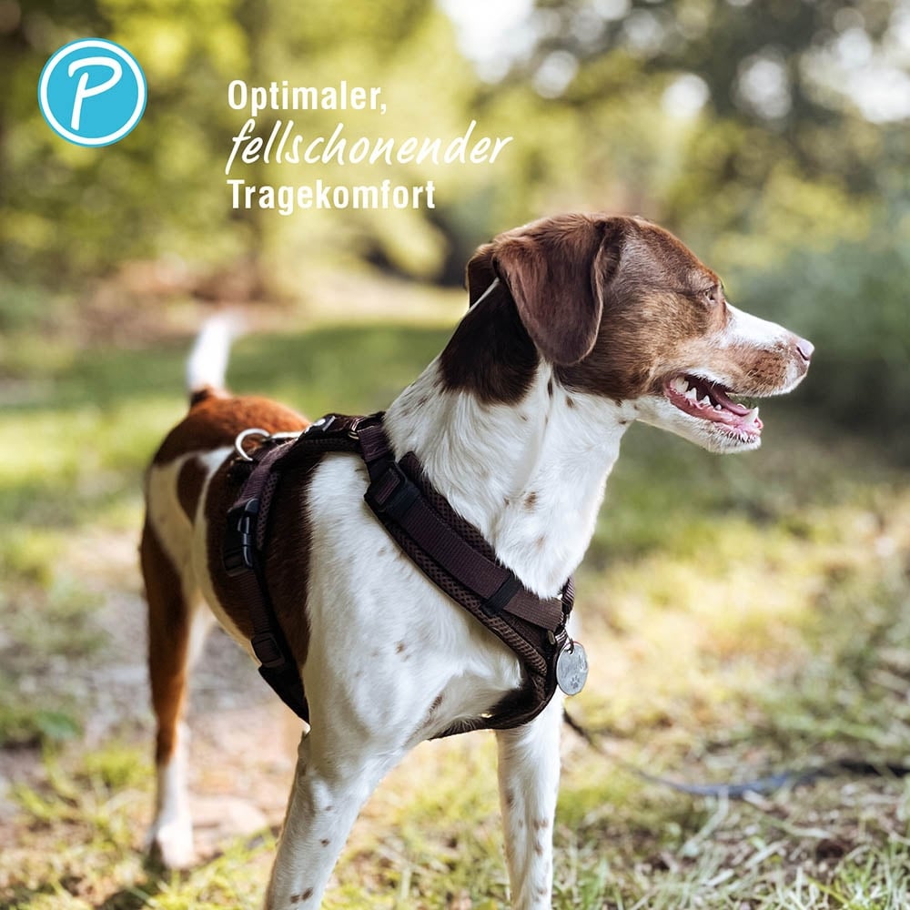 Petlando Mesh Y-Comfort Geschirr mokka_3