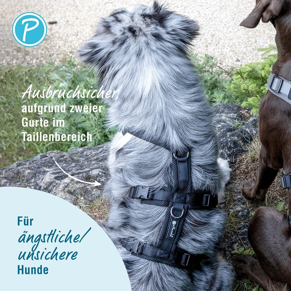 Petlando Sicherheitsgeschirr schwarz_2