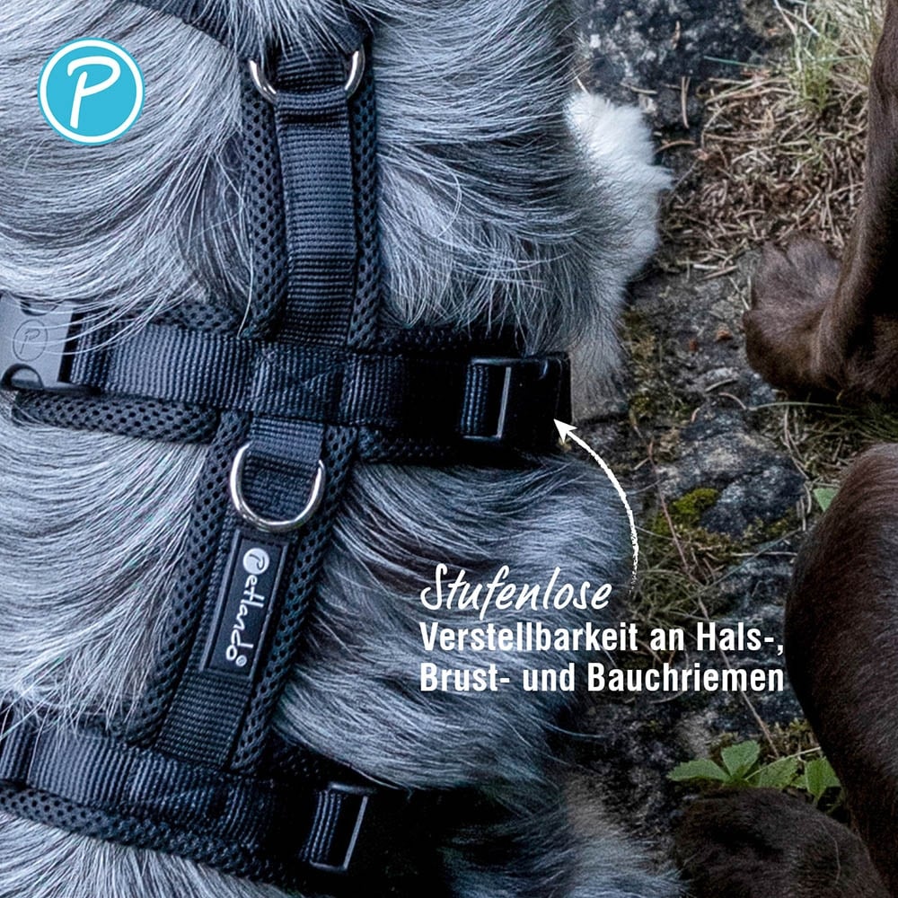 Petlando Sicherheitsgeschirr schwarz_3