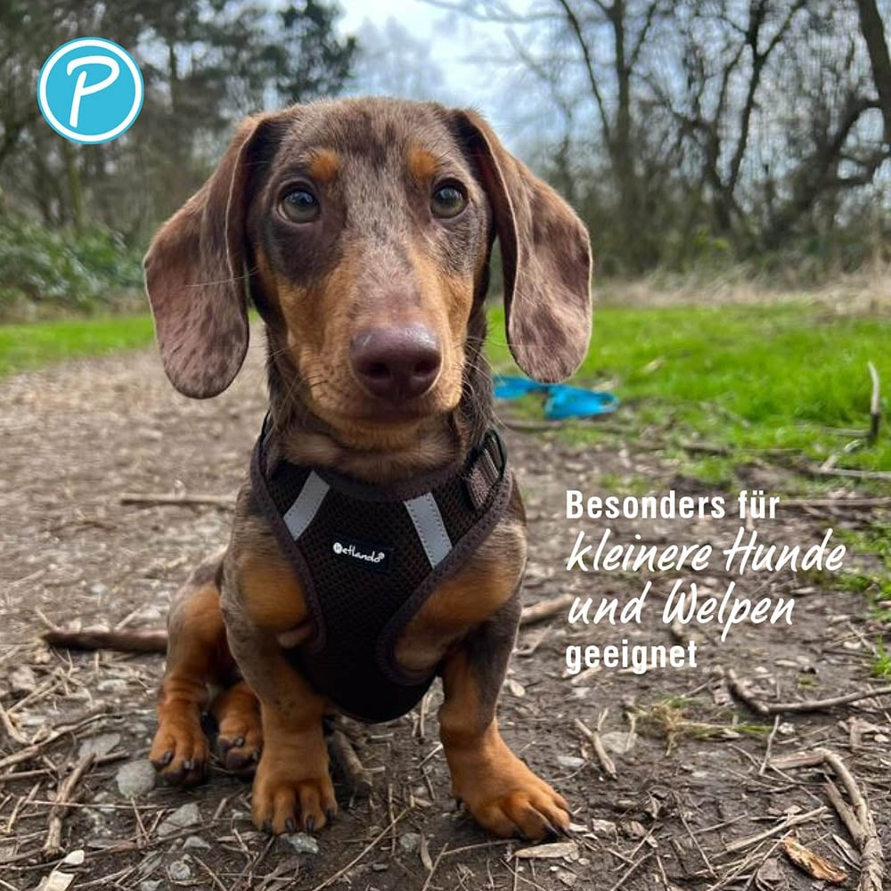 Petlando Mesh Vest Geschirr mokka_3