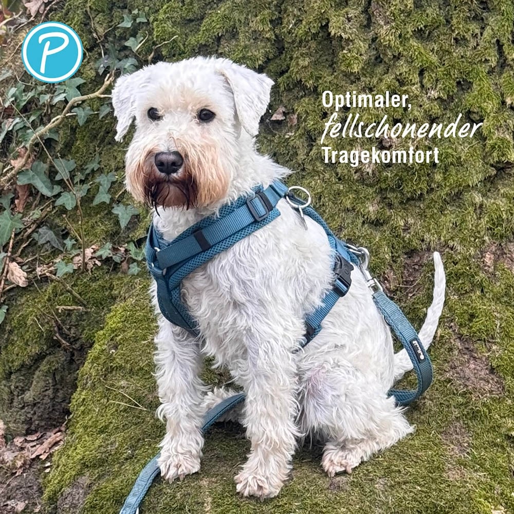 Petlando Mesh Y-Comfort Geschirr petrol_3