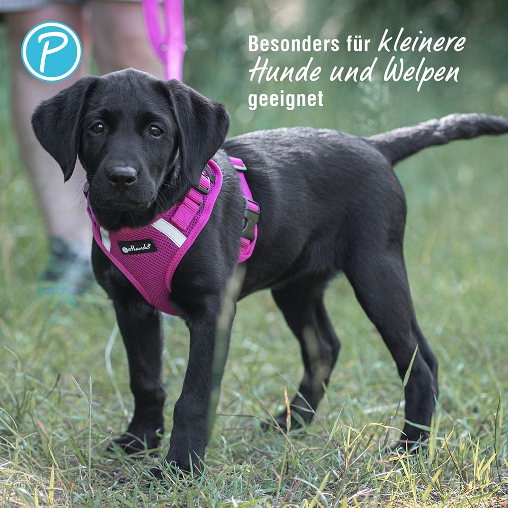 Petlando Mesh Vest Geschirr fuchsia_3