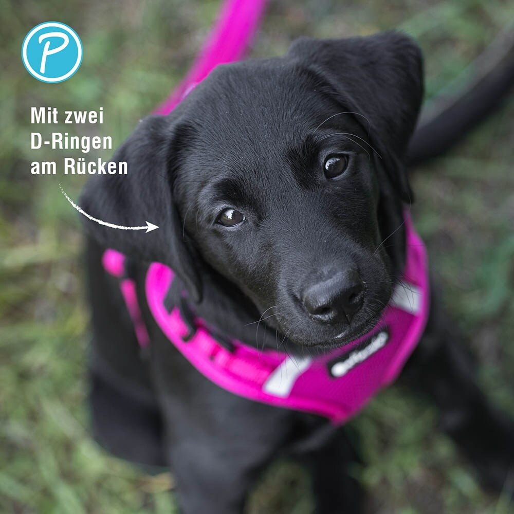 Petlando Mesh Vest Geschirr fuchsia_4