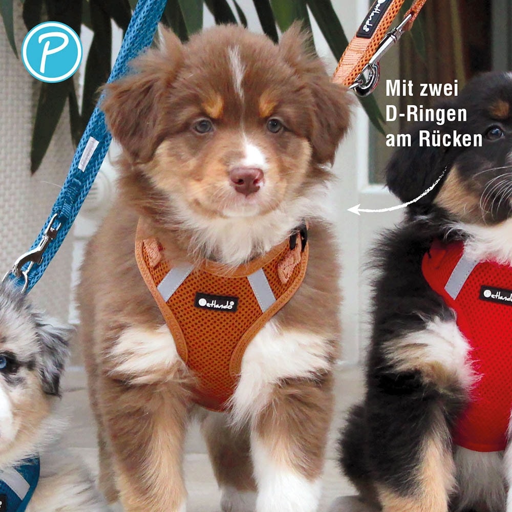 Petlando Mesh Vest cognac_4