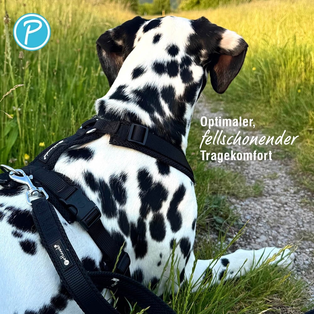 Petlando Mesh Y-Comfort Geschirr schwarz_3