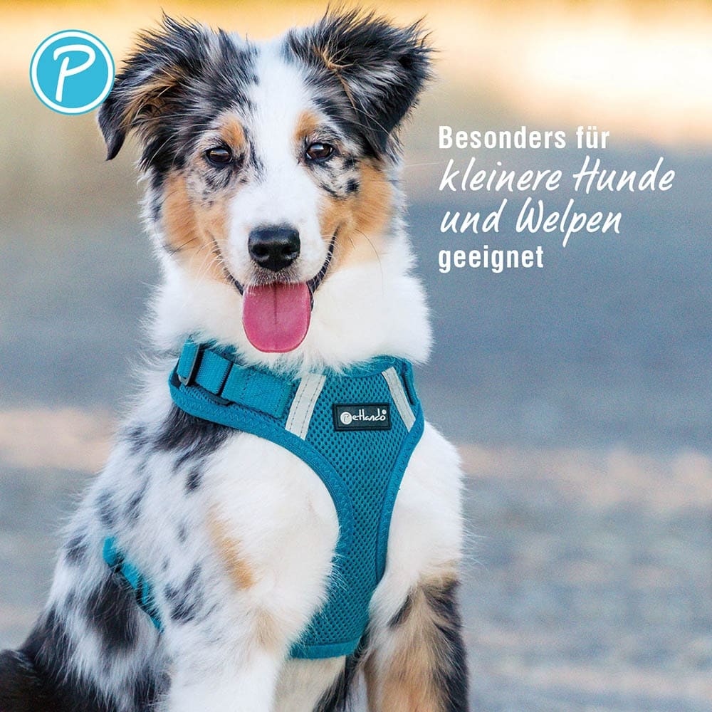 Petlando Mesh Vest Geschirr petrol_3