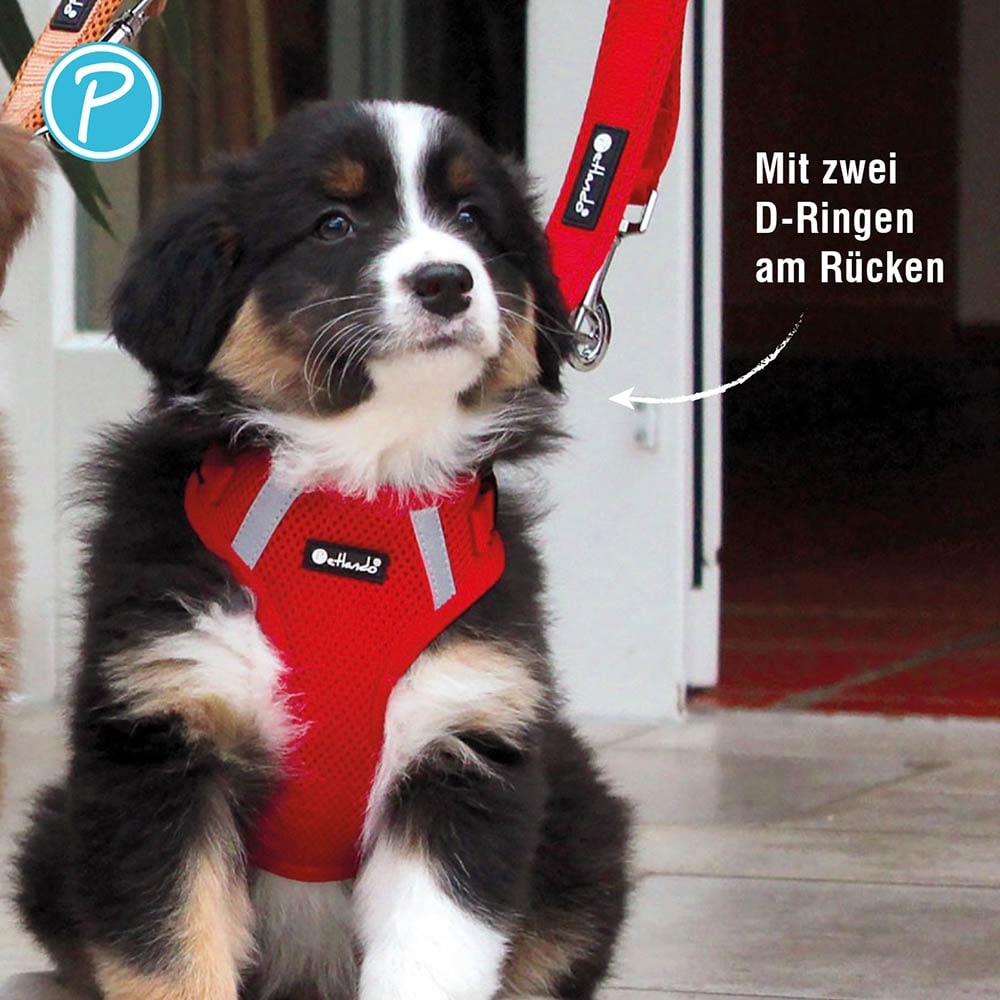 Petlando Mesh Vest Geschirr rot_3