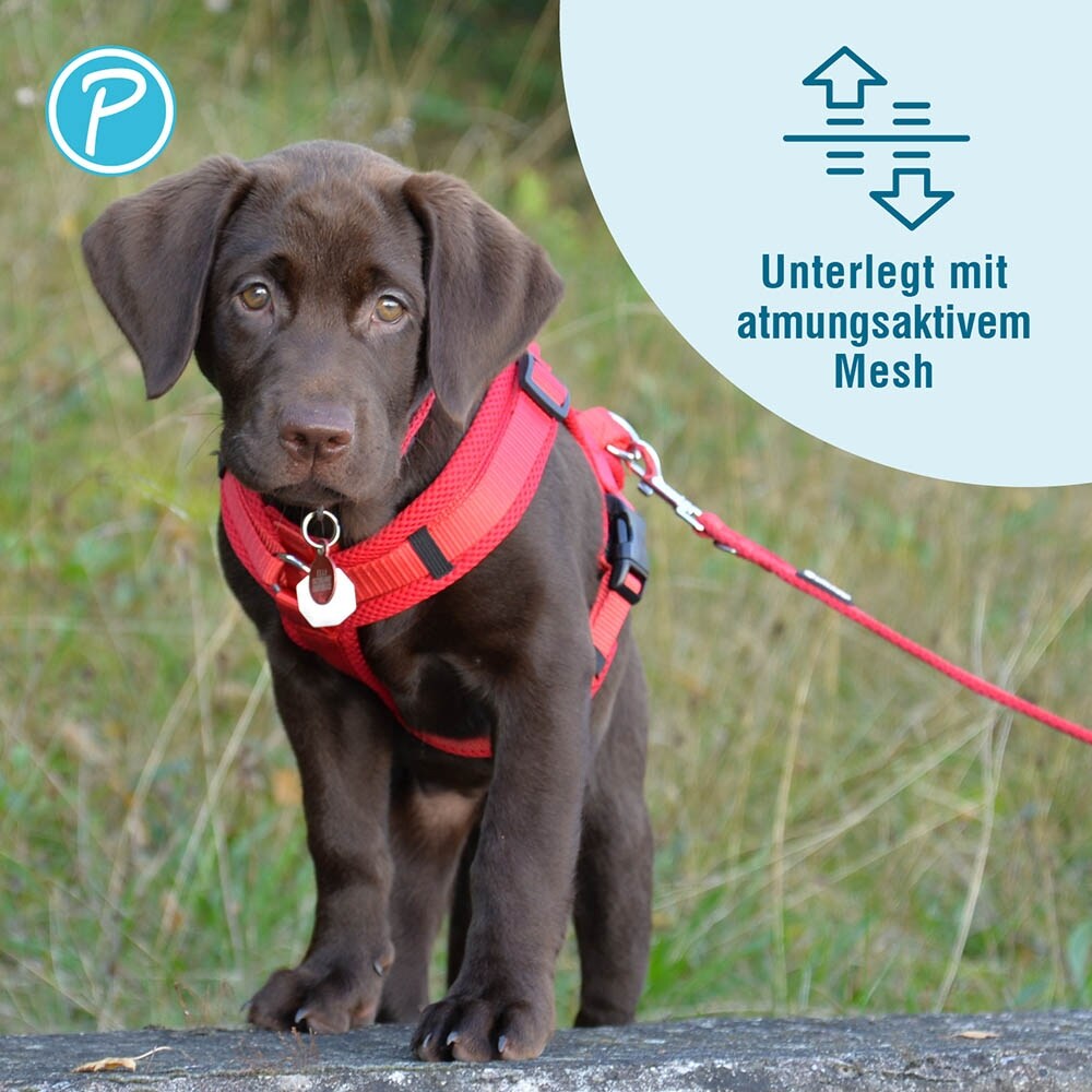 Petlando Mesh verstellbare Führleine rot_2