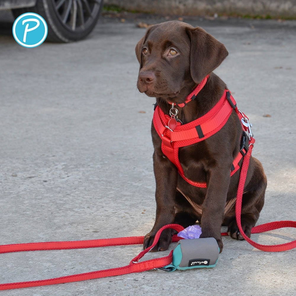 Petlando Mesh verstellbare Führleine rot_3