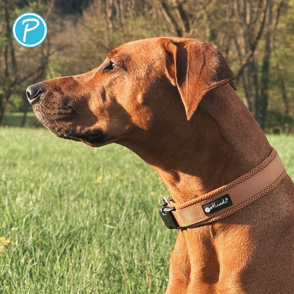 Petlando Mesh Halsband cognac_3