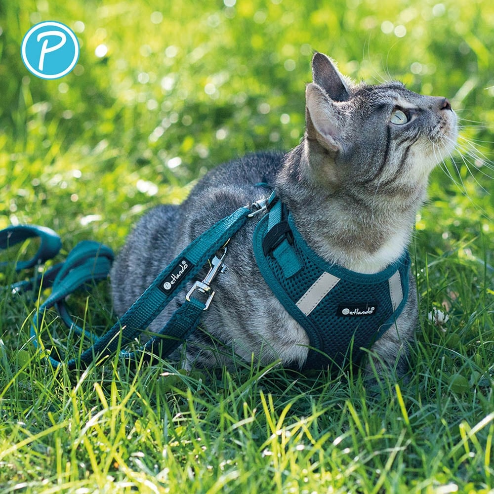 Petlando Mesh verstellbare Führleine petrol_4