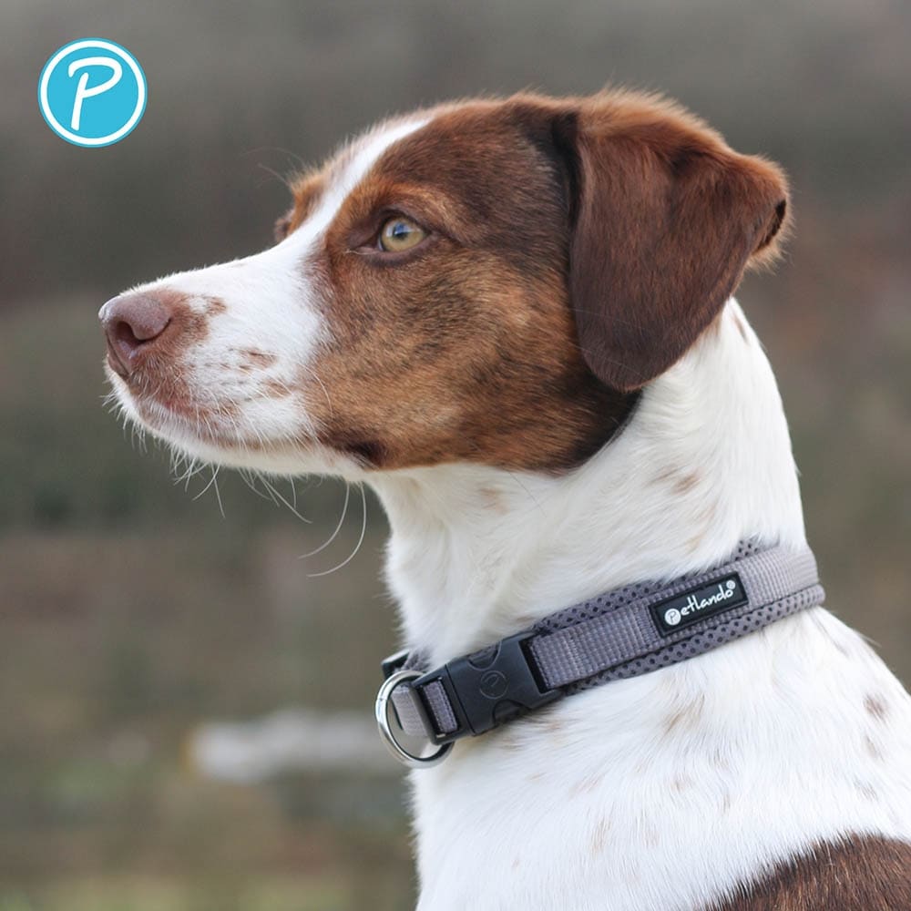 Petlando Mesh Halsband anthrazit_3