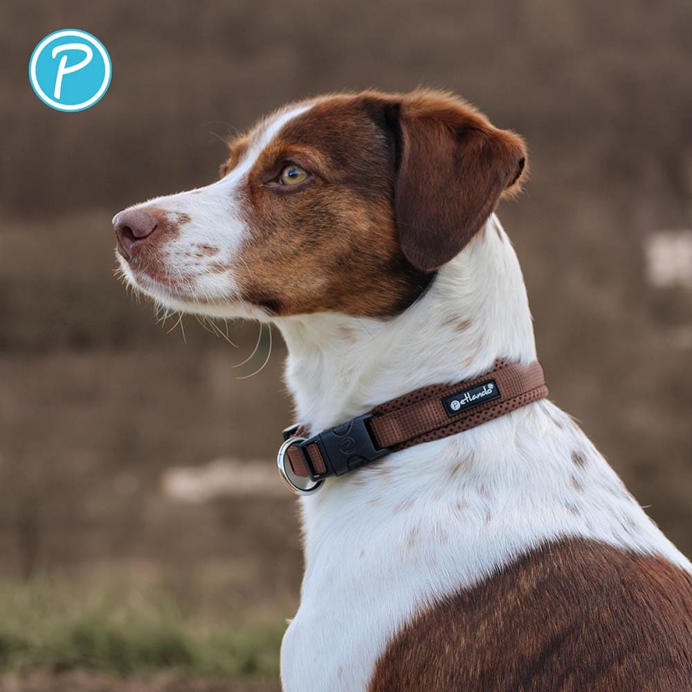 Petlando Mesh Halsband mokka_3