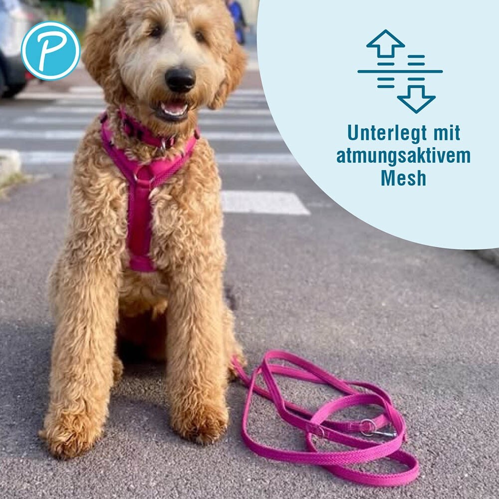 Petlando Mesh verstellbare Führleine fuchsia_2